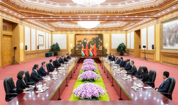 习近平同苏里南总统单多吉会谈4